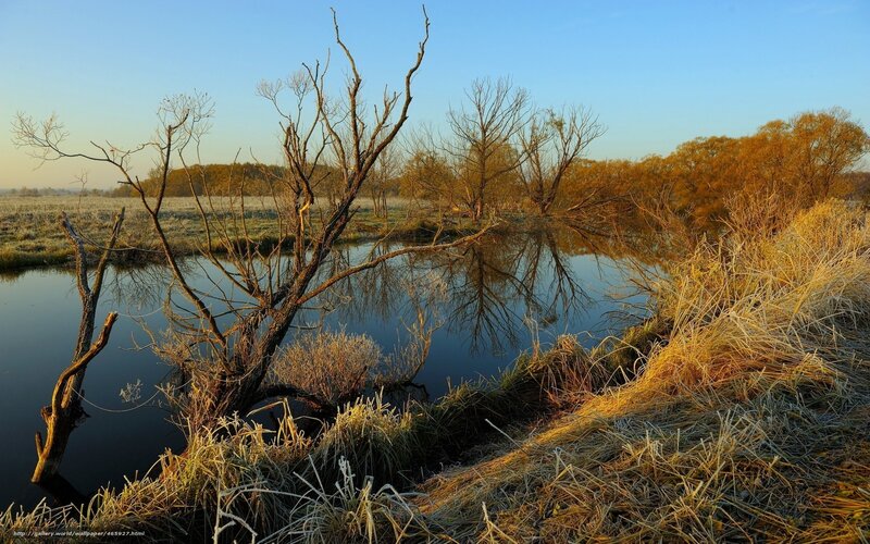 Frost-covered Riverbank — Blue, Serene, Morning, Photograph, River, Bare Trees