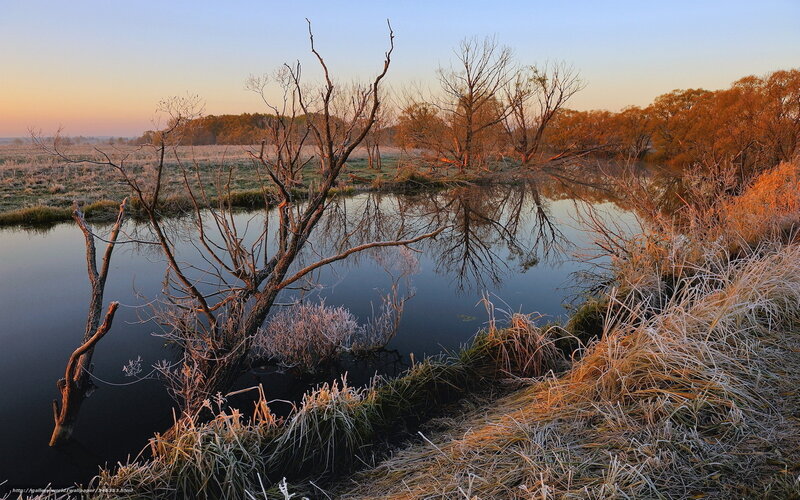 Frost-covered Riverbank — Blue, Serene, Morning