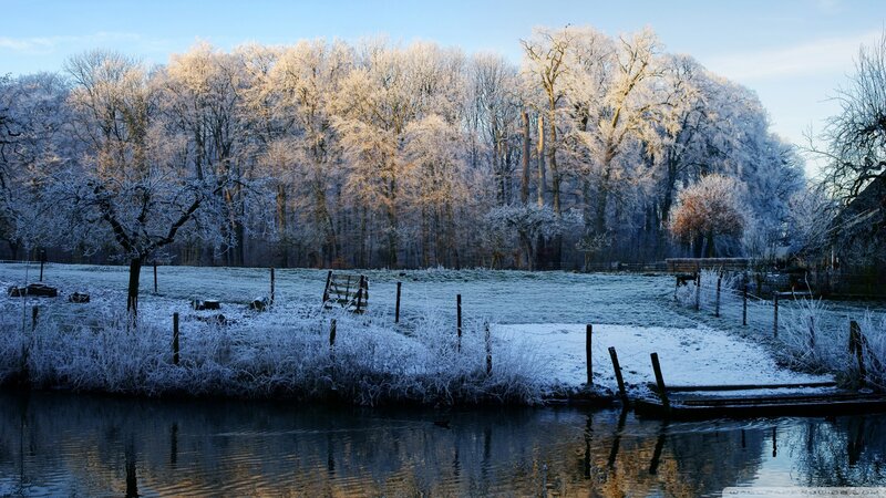 Frost-covered Riverbank — Blue