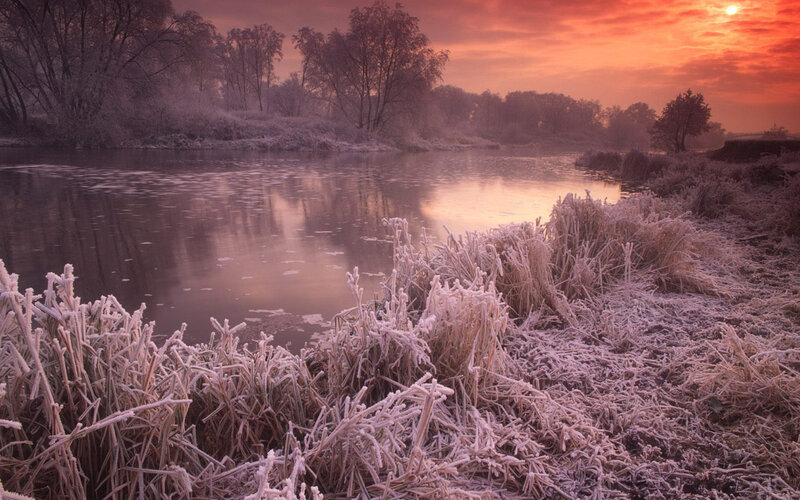 Frost-covered Riverbank — Orange