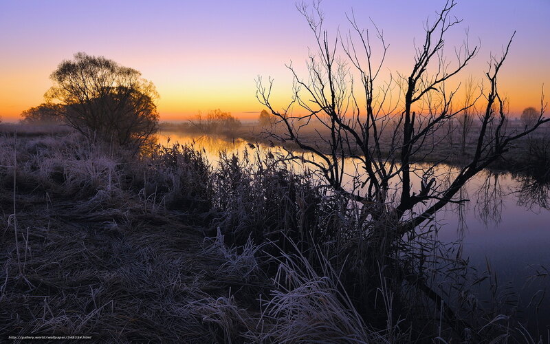 Frost-covered Riverbank — Purple, Serene, Sunrise
