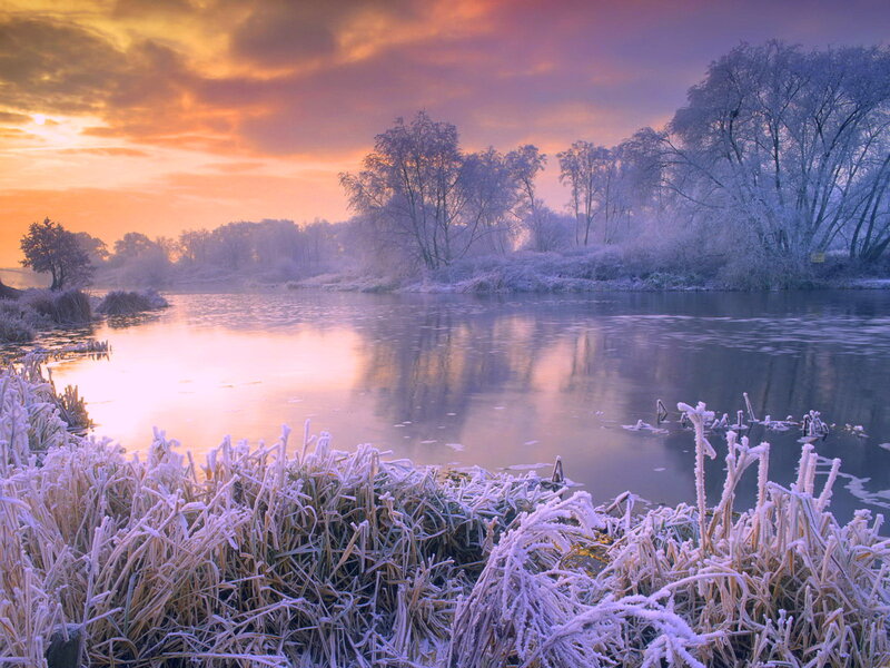 Frost-covered Riverbank — Purple