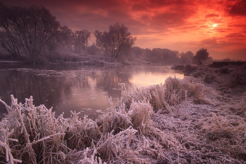 Frost-covered Riverbank — Red, Dramatic