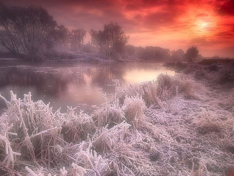 Frost-covered Riverbank — Red, Dramatic, Winter