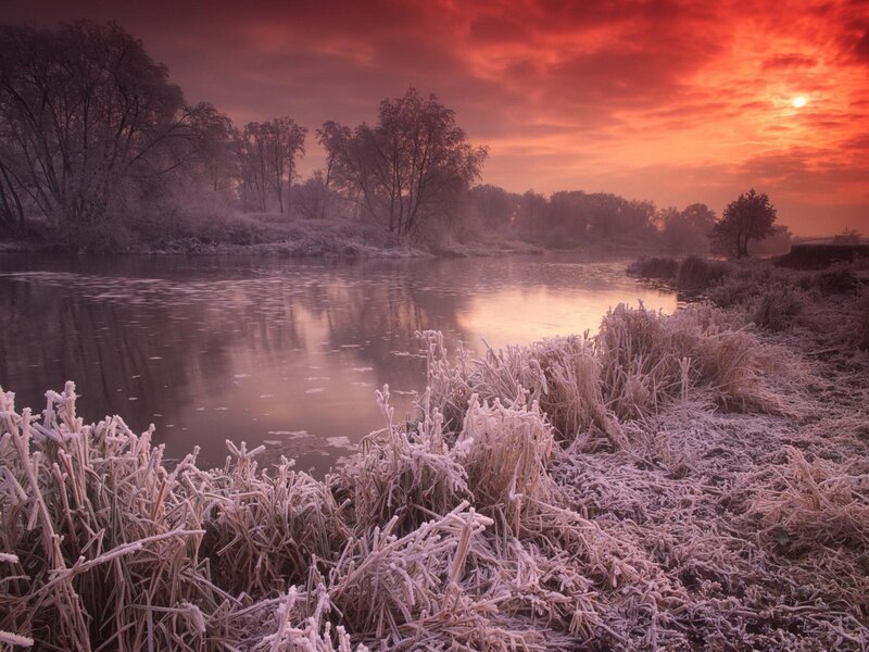 Frost-covered Riverbank — Red