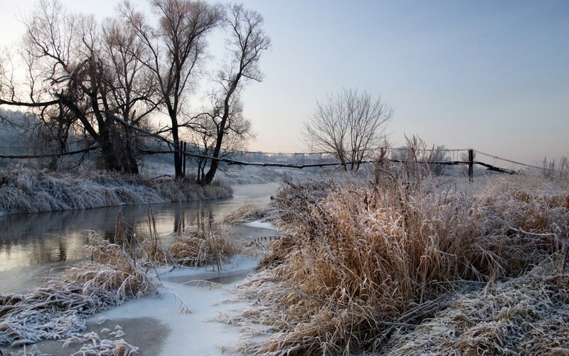 Frost-covered Riverbank — White, Cold