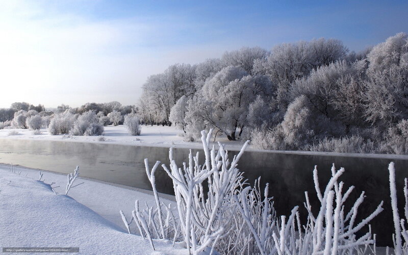 Frost-covered Riverbank — White, Serene