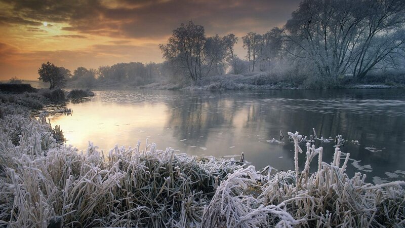 Frost-covered Riverbank — White, Serene, Winter