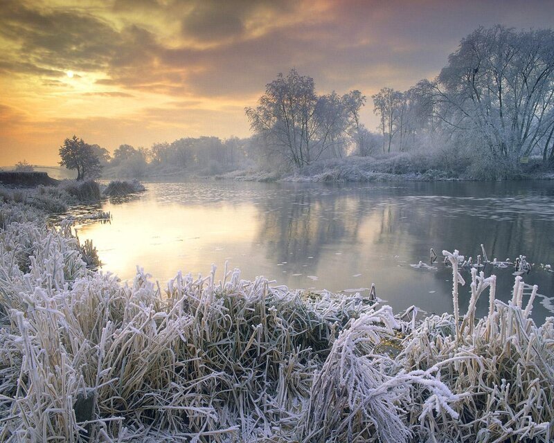Frost-covered Riverbank — Yellow, Serene, Winter, Photograph, River, Trees, Frost