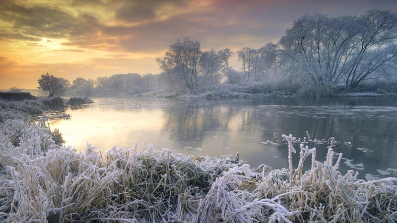 Frost-covered Riverbank — Yellow, Serene, Winter