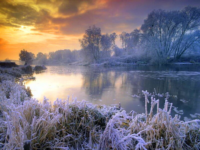 Frost-covered Riverbank — Yellow