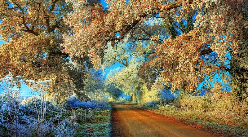Frost-covered Road — Blue, Serene, Morning