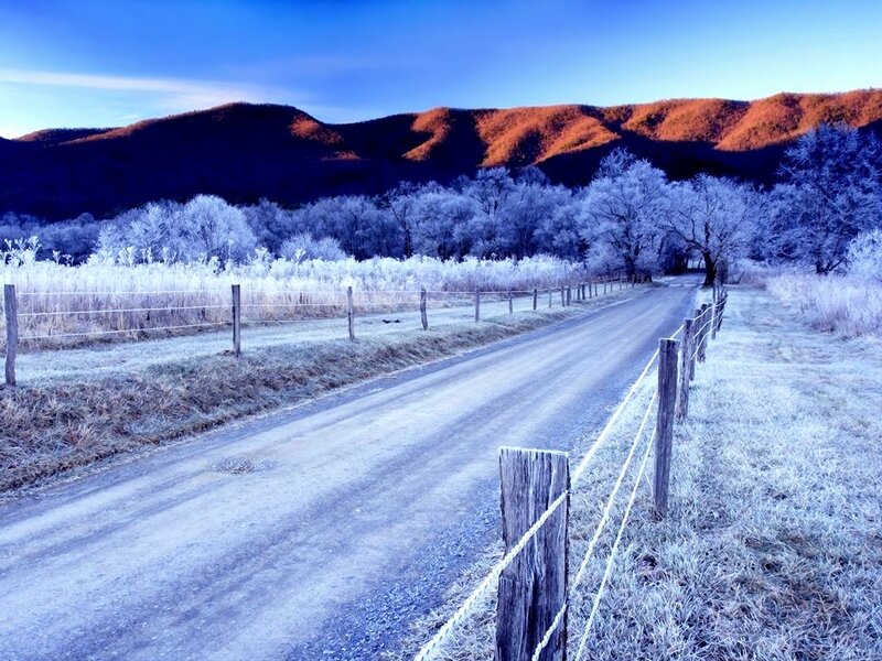 Frost-covered Road — Blue, Serene, Winter, Photograph