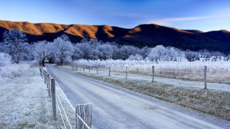 Frost-covered Road — Blue, Serene, Winter