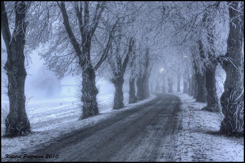 Frost-covered Road — Blue