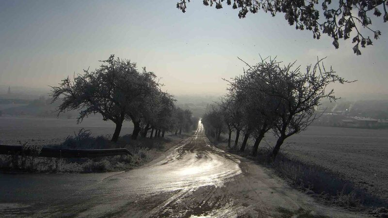 Frost-covered Road — Gray, Cold