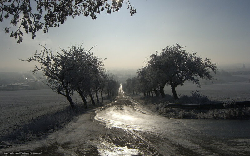 Frost-covered Road — Gray, Serene