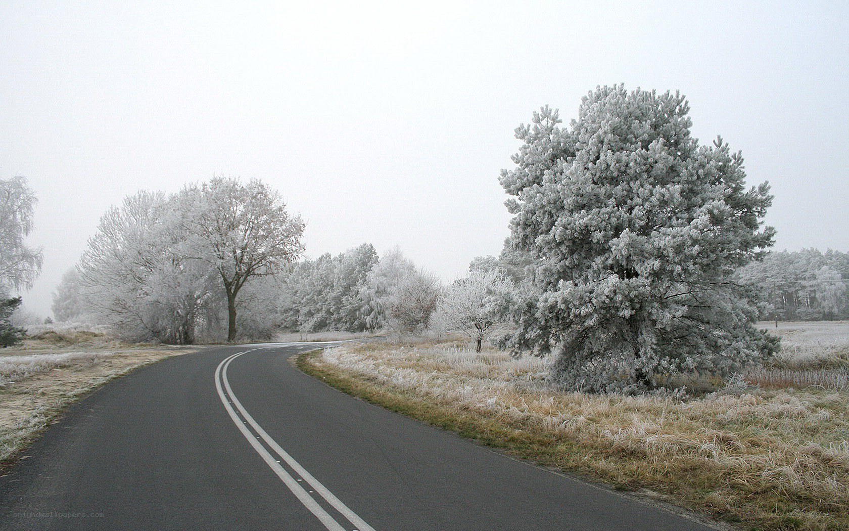 frost-covered road in winter