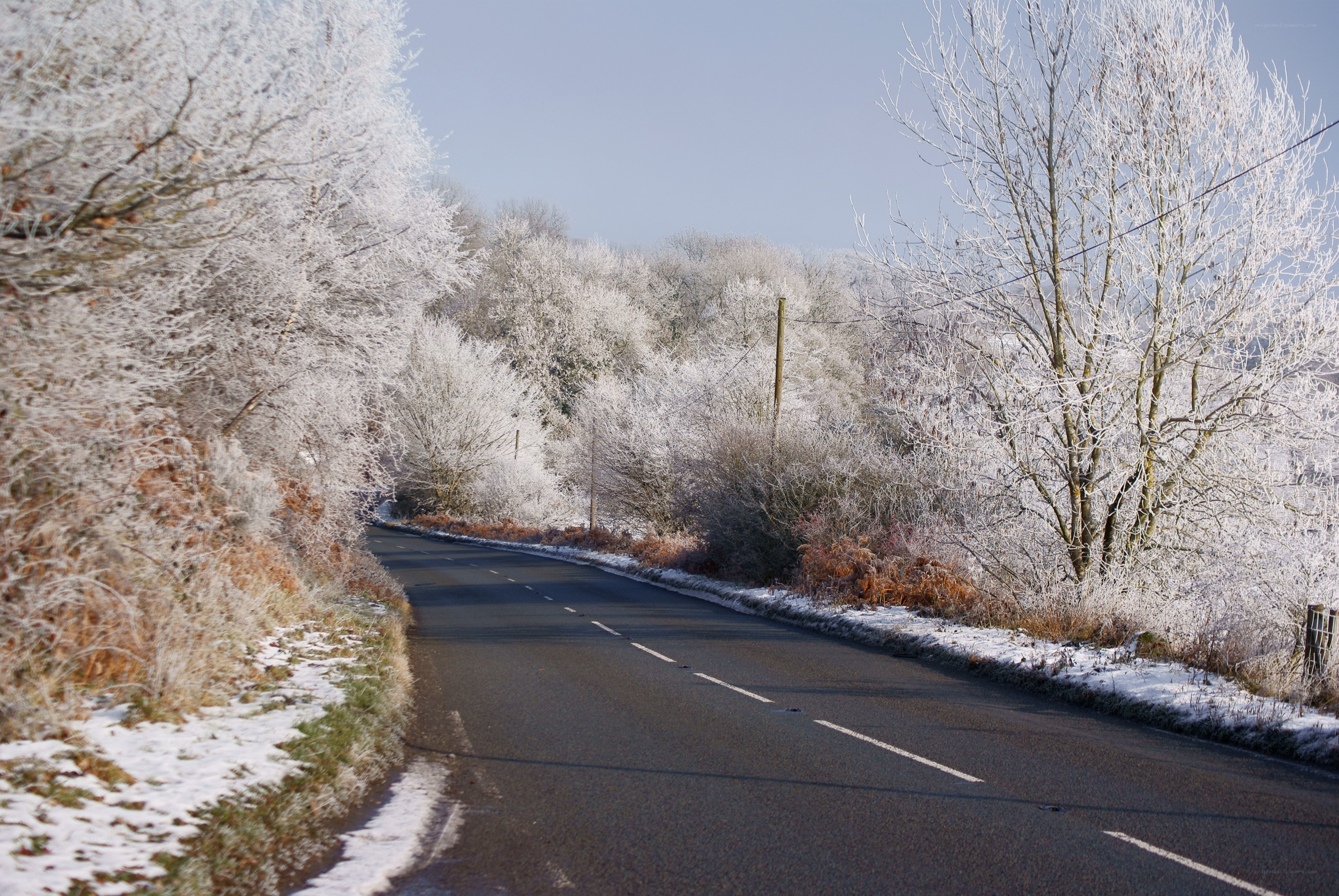 Frost-covered road in winter