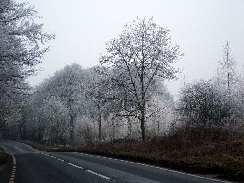 Frost-covered road in winter