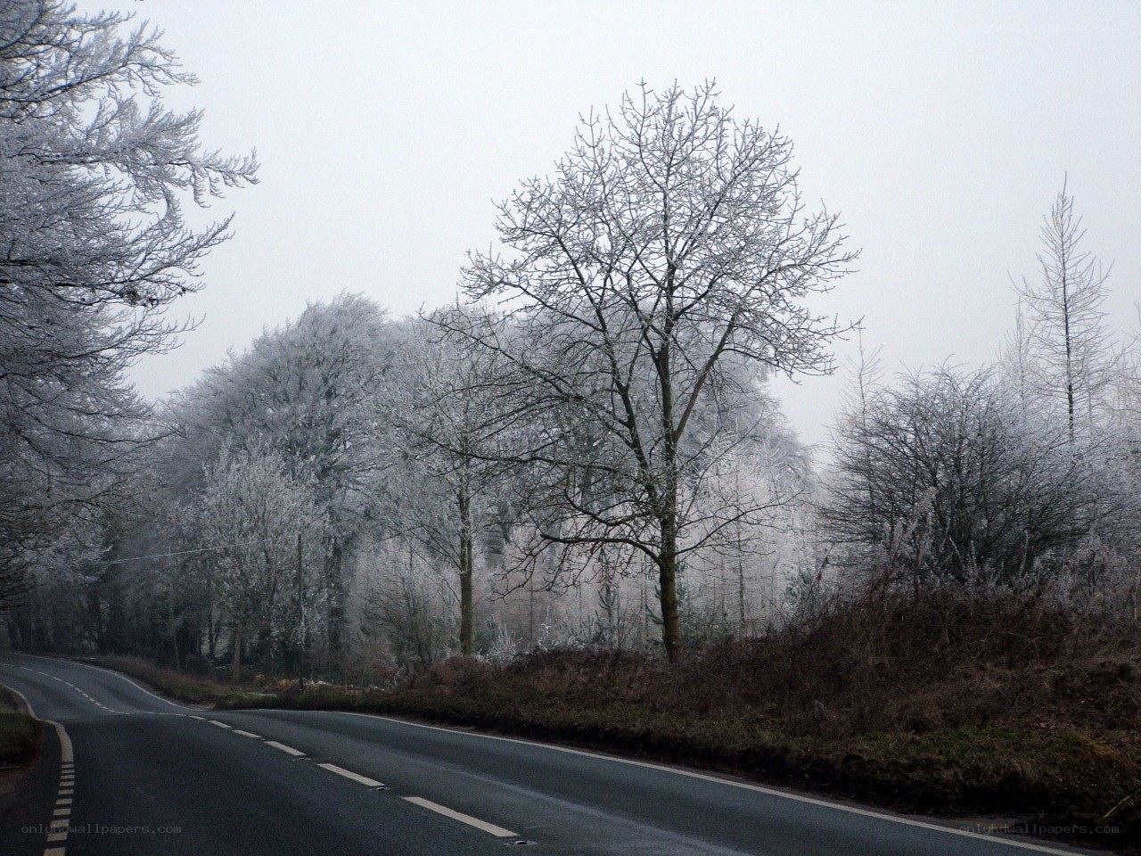 Frost-covered road in winter