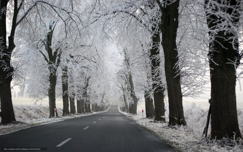 frost-covered road in winter