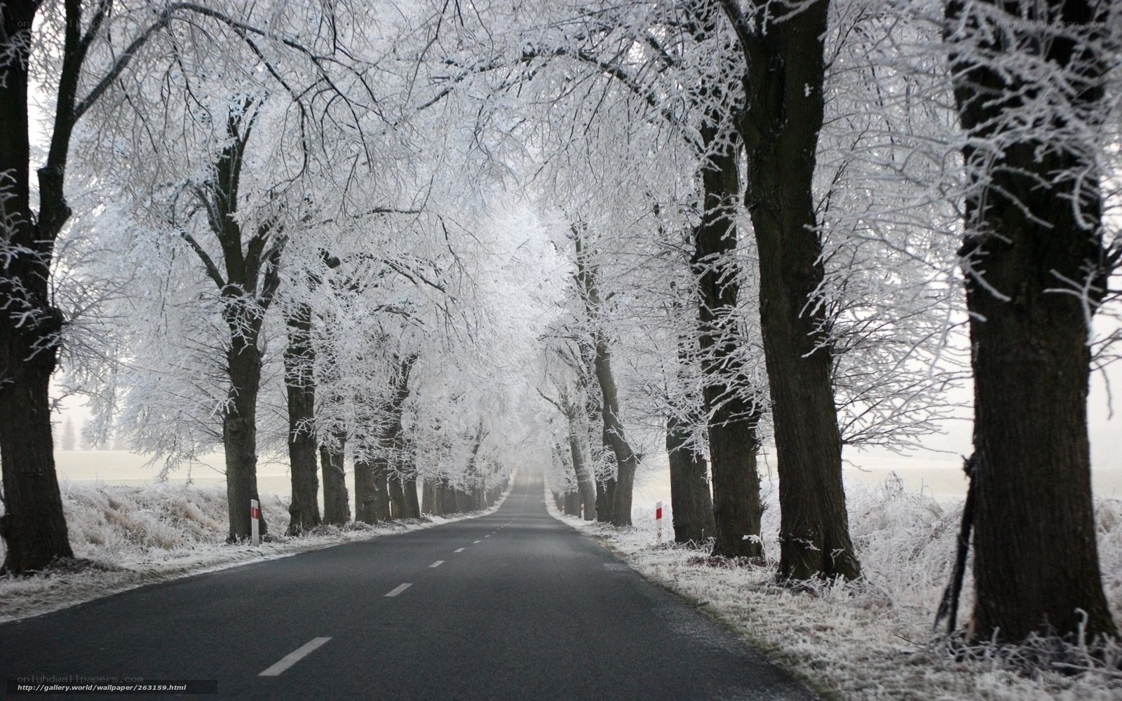 frost-covered road in winter