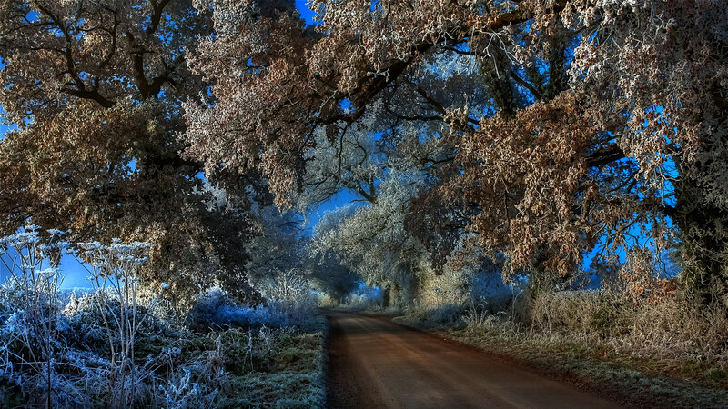Frost-covered Road