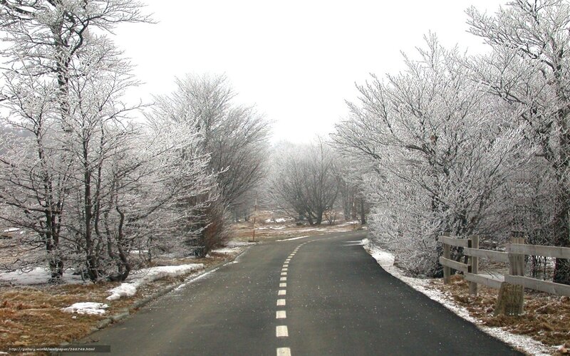 Frost-covered Road — White, Cold, Winter