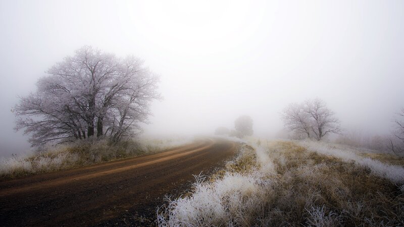 Frost-covered Road — White, Misty