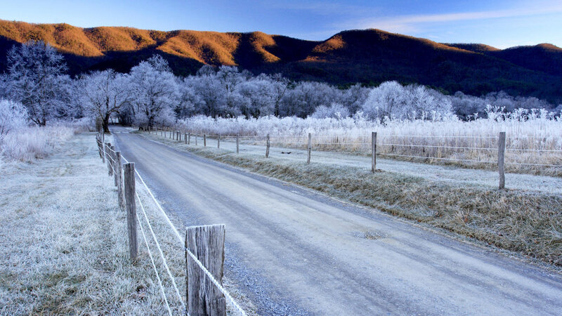 Frost-covered Road — White, Serene
