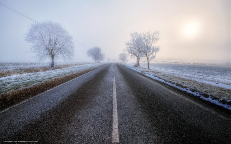 Frost-covered Road — White, Serene, Winter, Photograph, Trees, Fields