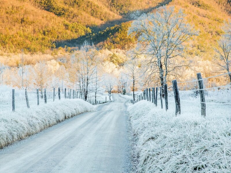 Frost-covered Road — White, Serene, Winter, Photograph, Trees
