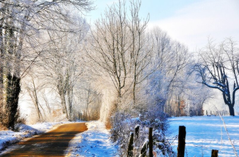 Frost-covered Road — White, Serene, Winter