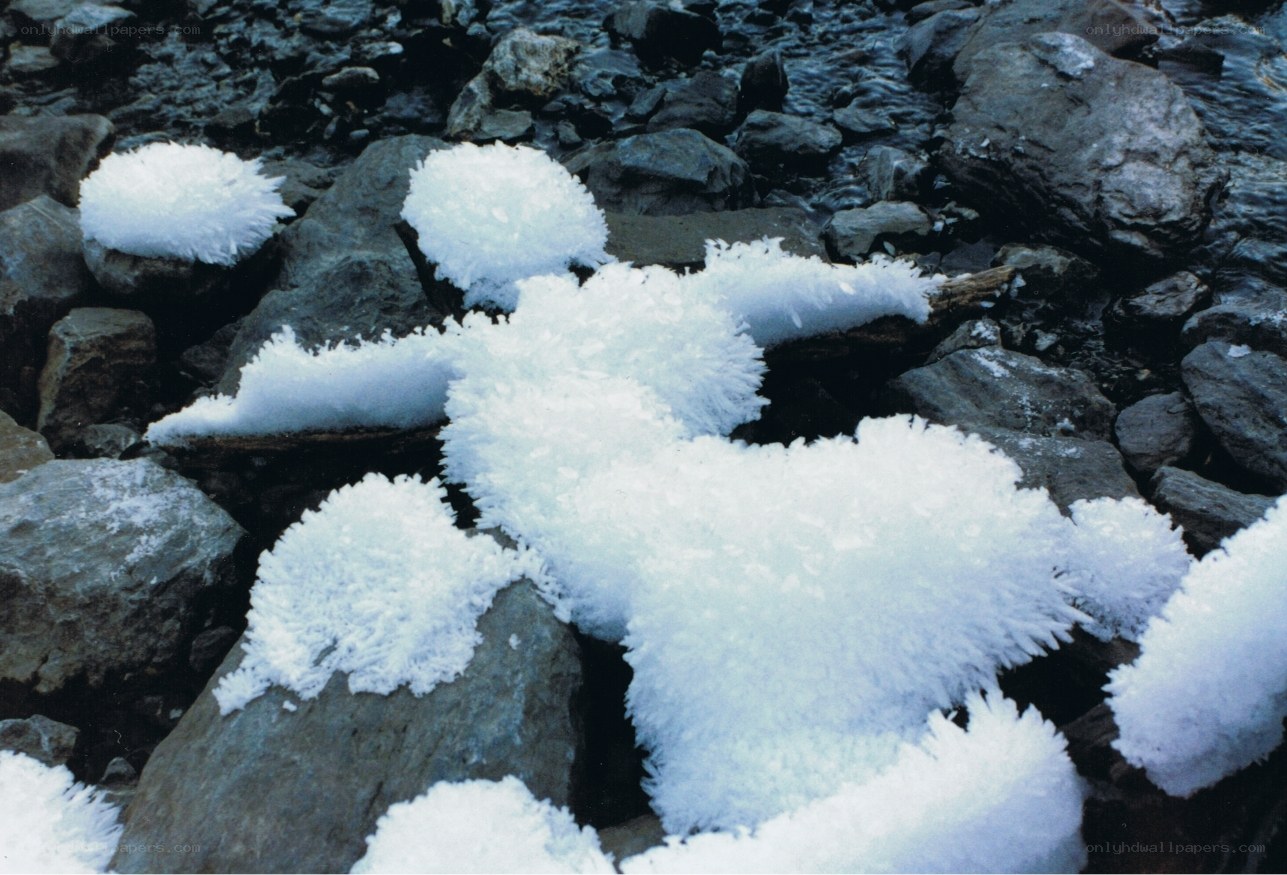 frost-covered rocks in stream