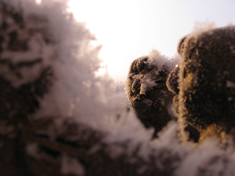 frost-covered rocks in sunlight