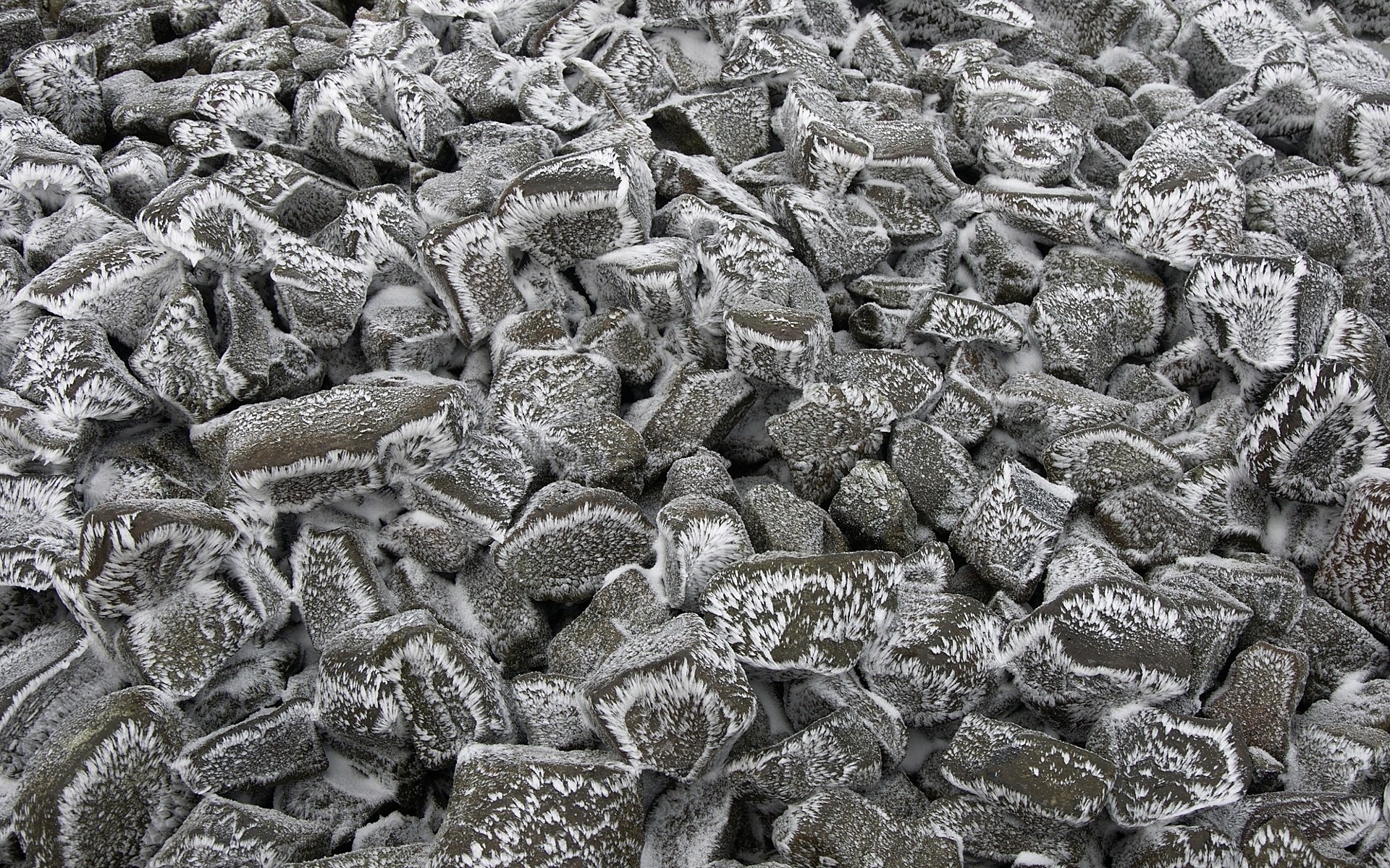 frost-covered rocks pile