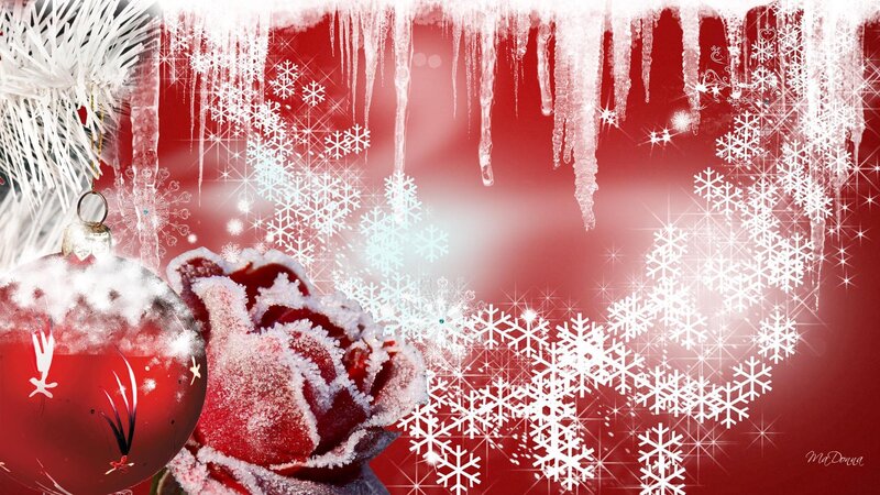 Frost-covered Rose and Ornament