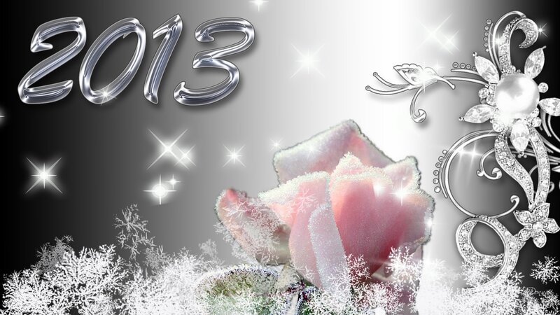 Frost-covered Rose — White