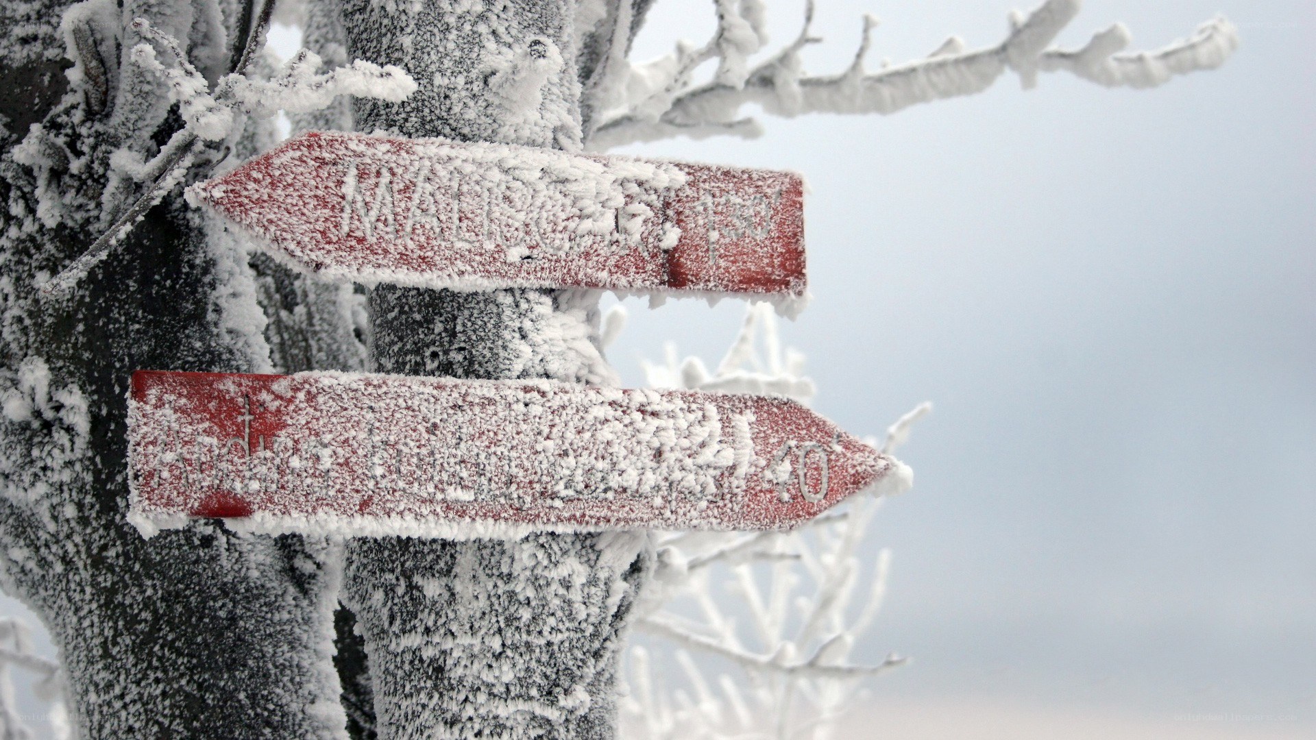 Frost-covered signposts in winter