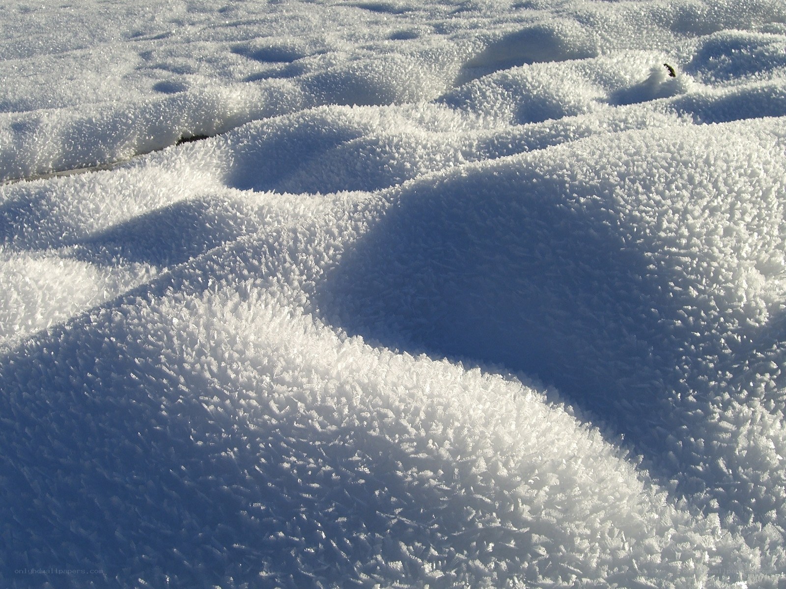 Frost-covered snow landscape