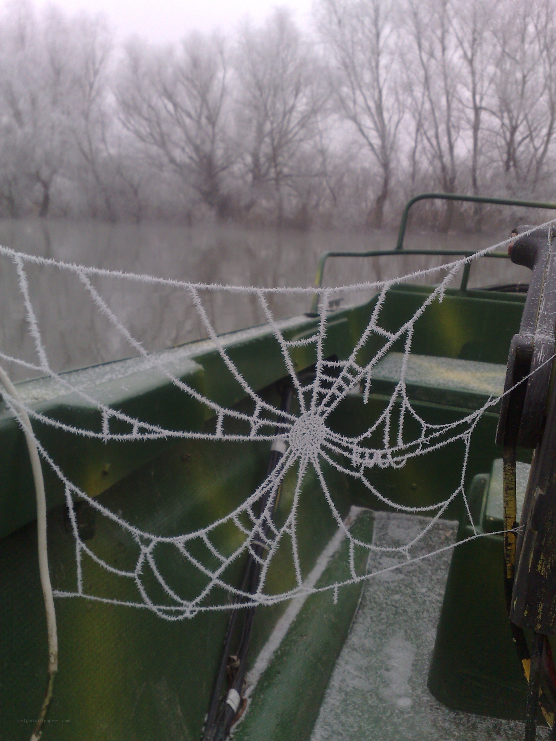 frost-covered spider web on boat