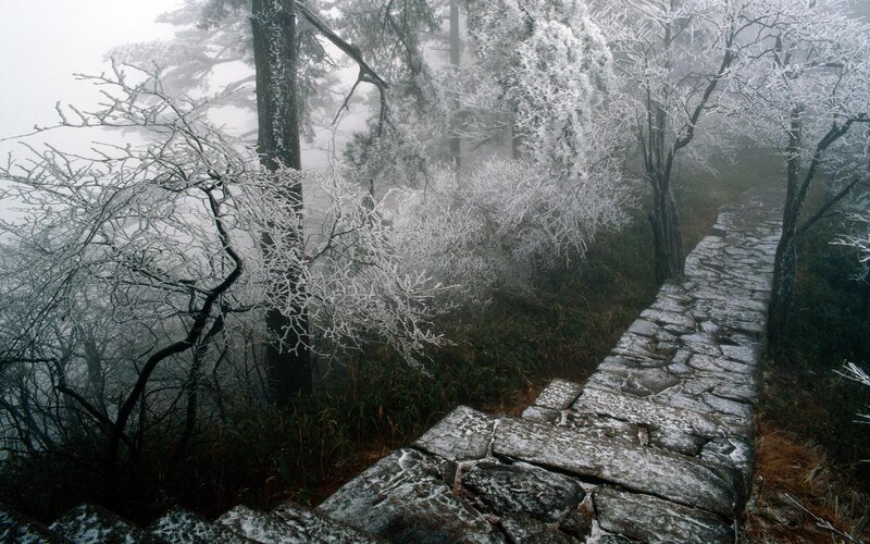 Frost-covered Stone Path