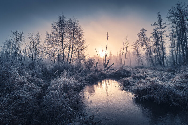 Frost-covered Stream at Sunrise