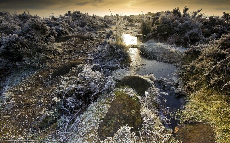Frost-covered Stream — Brown