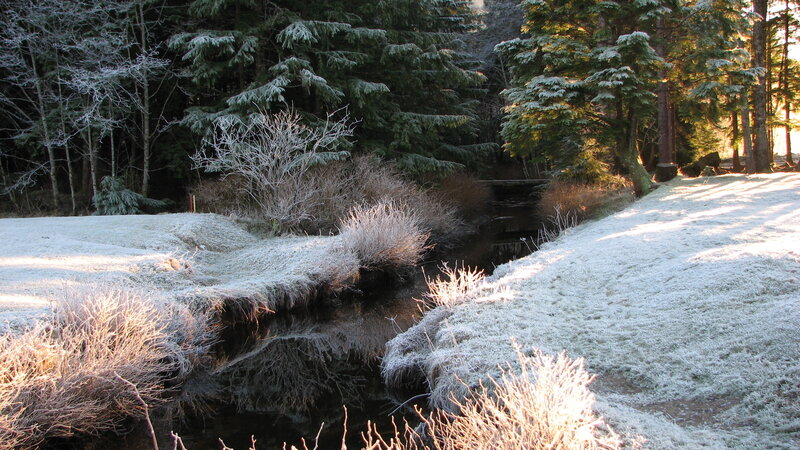 Frost-covered Stream — White, Serene