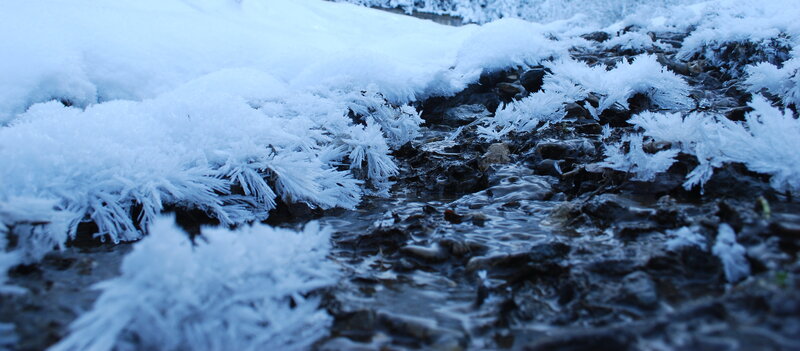 Frost-covered Stream — White