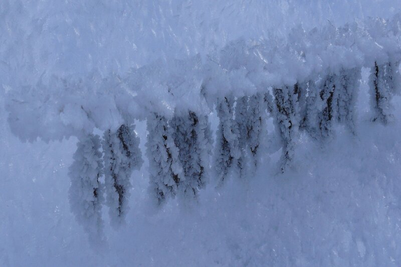 Frost-covered Surface