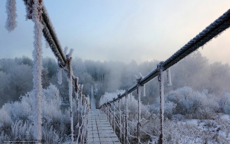 Frost-covered Suspension Bridge — White, Cold