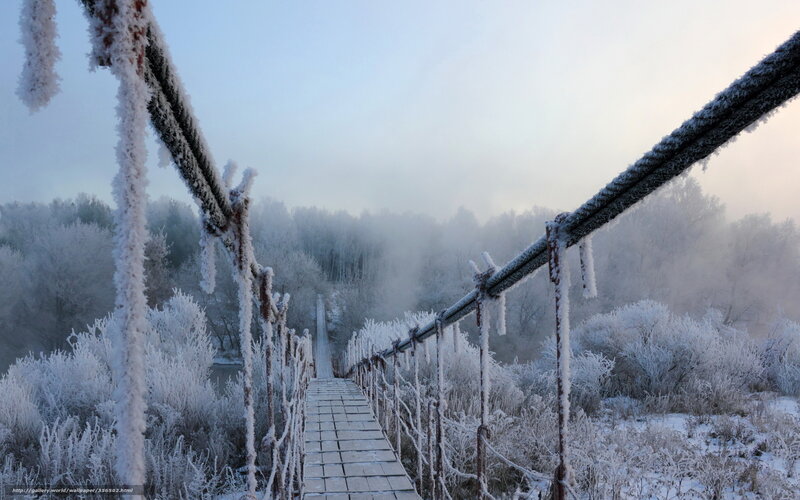 Frost-covered Suspension Bridge — White, Cold, Winter